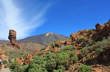 Biluthyrning Teneriffa